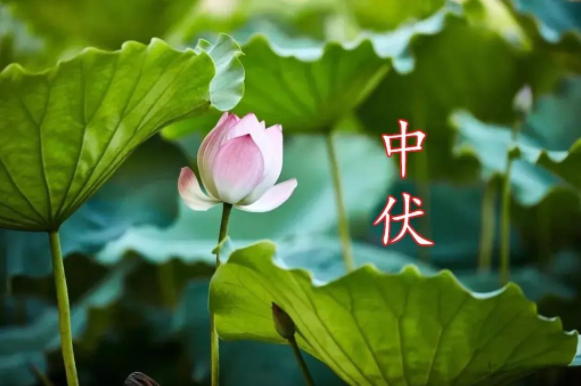 20250730102956_92849.png 微信图片_20250730102720.png